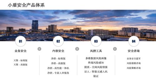 同盾科技携手共建2020第四届看雪安全开发者峰会,筑梦未来